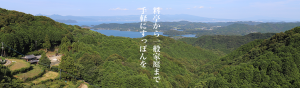 長崎淡水　すっぽん養殖
