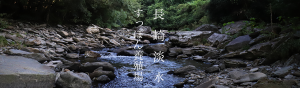 長崎淡水　すっぽん養殖