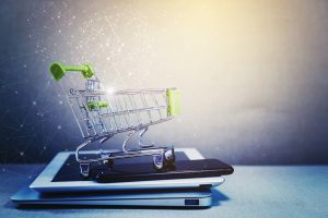 すっぽんを取り寄せできるネットショップ5選